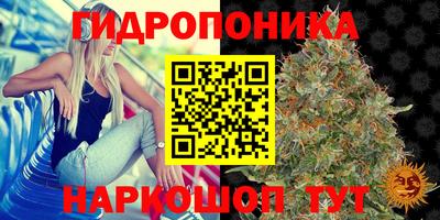 амф Краснокаменск