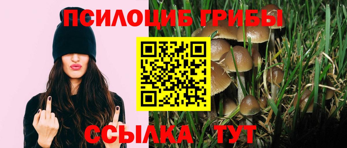 Псилоцибиновые грибы Psilocybine cubensis Йошкар-Ола