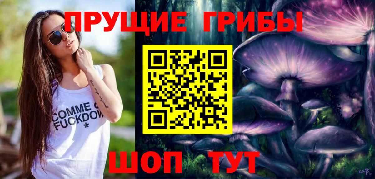 где можно купить   Вход с VPN  Йошкар-Ола  Галлюциногенные грибы Psilocybine cubensis 